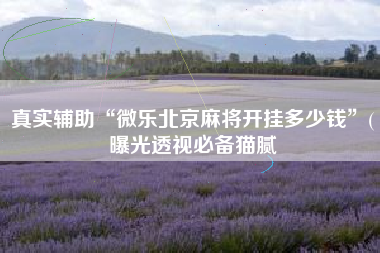 真实辅助“微乐北京麻将开挂多少钱”(曝光透视必备猫腻