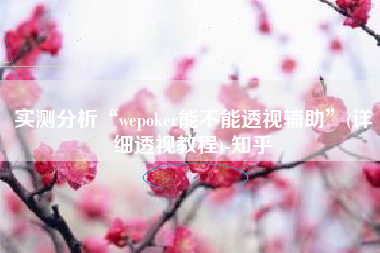 实测分析“wepoker能不能透视辅助”(详细透视教程)-知乎