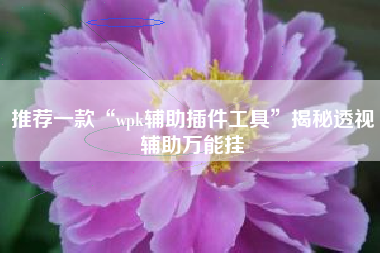 推荐一款“wpk辅助插件工具”揭秘透视辅助万能挂