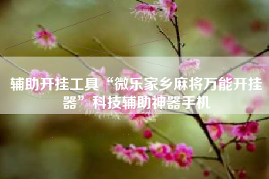 辅助开挂工具“微乐家乡麻将万能开挂器	”科技辅助神器手机