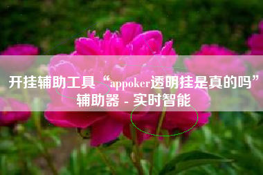 开挂辅助工具“appoker透明挂是真的吗	”辅助器 - 实时智能