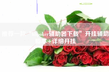 推荐一款“hhpoker辅助器下载”开挂辅助脚本+详细开挂