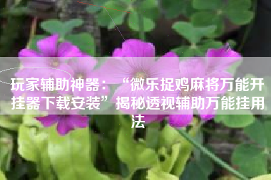 玩家辅助神器：“微乐捉鸡麻将万能开挂器下载安装”揭秘透视辅助万能挂用法