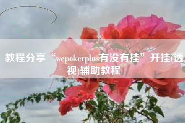 教程分享“wepokerplus有没有挂	”开挂(透视)辅助教程
