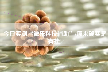 今日实测“微乐科技辅助	”(原来确实是有挂)