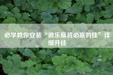 必学教你安装“微乐麻将必赢的挂	”详细开挂