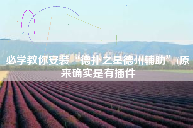 必学教你安装“德扑之星德州辅助”(原来确实是有插件