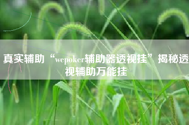 真实辅助“wepoker辅助器透视挂”揭秘透视辅助万能挂