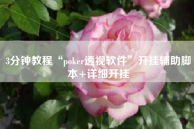 3分钟教程“poker透视软件	”开挂辅助脚本+详细开挂
