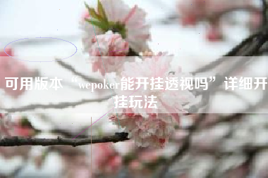 可用版本“wepoker能开挂透视吗”详细开挂玩法