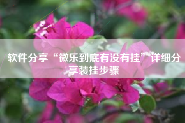 软件分享“微乐到底有没有挂	”详细分享装挂步骤