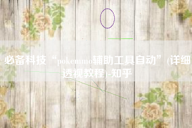 必备科技“pokemmo辅助工具自动”(详细透视教程)-知乎