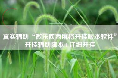 真实辅助“微乐陕西麻将开挂版本软件”开挂辅助脚本+详细开挂