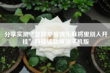 分享实测“怎样举报微乐麻将里别人开挂	”科技辅助神器手机版