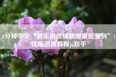 3分钟学会“微乐游戏辅助哪里能买到”(详细透视教程)-知乎