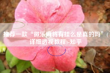 推荐一款“微乐麻将有挂么是真的吗	”(详细透视教程)-知乎