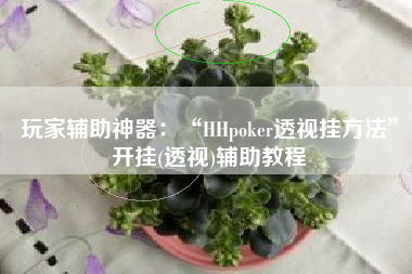 玩家辅助神器：“HHpoker透视挂方法”开挂(透视)辅助教程