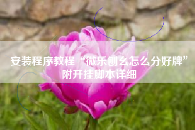 安装程序教程“微乐刨幺怎么分好牌”附开挂脚本详细