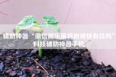 辅助神器“微信微乐麻将跑得快有挂吗	”科技辅助神器手机