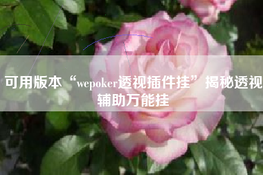 可用版本“wepoker透视插件挂”揭秘透视辅助万能挂
