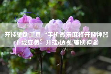 开挂辅助工具“手机微乐麻将开挂神器下载安装	”开挂(透视)辅助神器