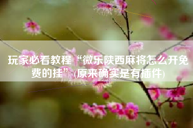 玩家必看教程“微乐陕西麻将怎么开免费的挂	”(原来确实是有插件)