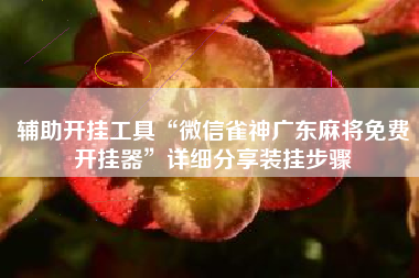 辅助开挂工具“微信雀神广东麻将免费开挂器”详细分享装挂步骤