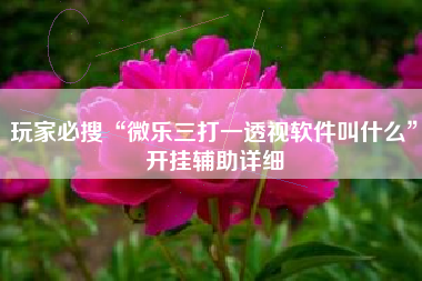 玩家必搜“微乐三打一透视软件叫什么”开挂辅助详细