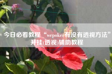 今日必看教程“wepoker有没有透视方法”开挂(透视)辅助教程