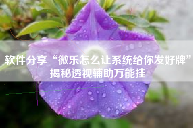 软件分享“微乐怎么让系统给你发好牌”揭秘透视辅助万能挂