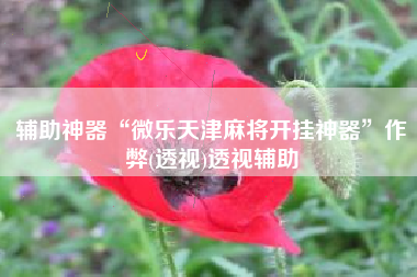 辅助神器“微乐天津麻将开挂神器	”作弊(透视)透视辅助