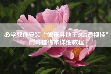 必学教你安装“微乐斗地主2025透视挂”附开挂脚本详细教程