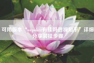 可用版本“wepoker有挂吗透视知乎”详细分享装挂步骤