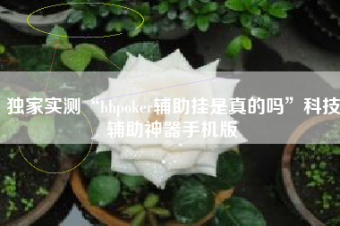 独家实测“hhpoker辅助挂是真的吗	”科技辅助神器手机版