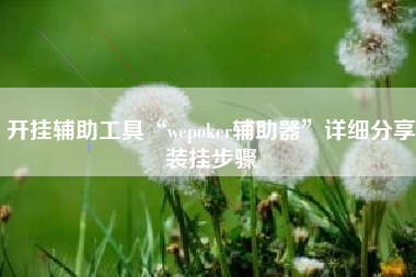 开挂辅助工具“wepoker辅助器	”详细分享装挂步骤