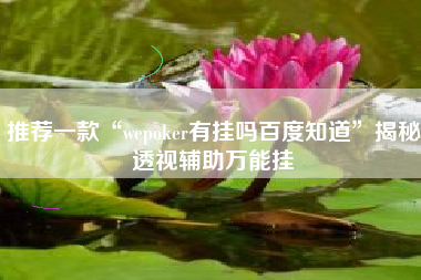 推荐一款“wepoker有挂吗百度知道”揭秘透视辅助万能挂