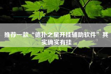 推荐一款“德扑之星开挂辅助软件”其实确实有挂