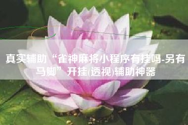 真实辅助“雀神麻将小程序有挂吗-另有马脚	”开挂(透视)辅助神器