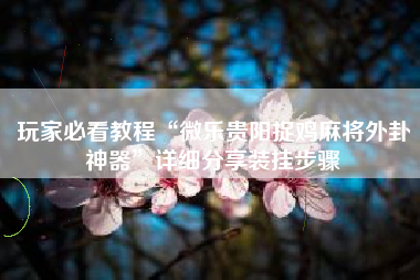 玩家必看教程“微乐贵阳捉鸡麻将外卦神器	”详细分享装挂步骤