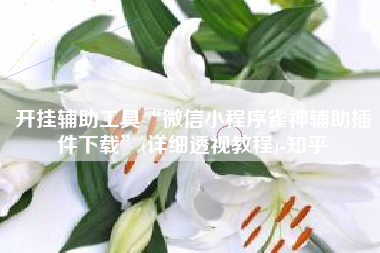 开挂辅助工具“微信小程序雀神辅助插件下载	”(详细透视教程)-知乎