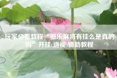 玩家必看教程“微乐麻将有挂么是真的吗”开挂(透视)辅助教程