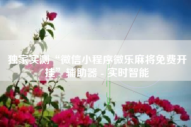 独家实测“微信小程序微乐麻将免费开挂	”辅助器 - 实时智能