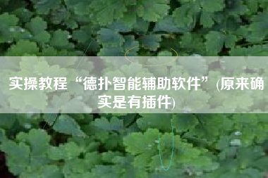 实操教程“德扑智能辅助软件	”(原来确实是有插件)