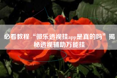 必看教程“微乐透视挂app是真的吗”揭秘透视辅助万能挂