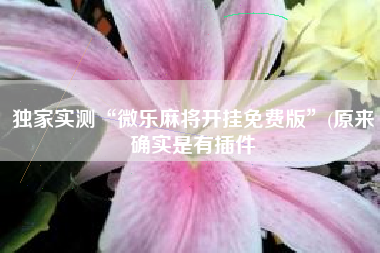 独家实测“微乐麻将开挂免费版	”(原来确实是有插件