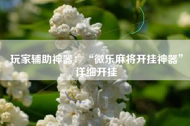 玩家辅助神器：“微乐麻将开挂神器	”详细开挂