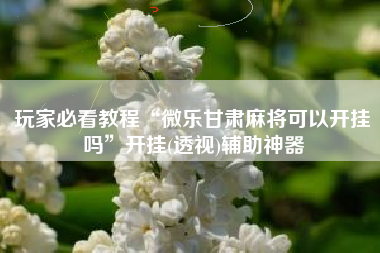 玩家必看教程“微乐甘肃麻将可以开挂吗	”开挂(透视)辅助神器