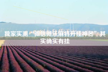 独家实测“微信微乐麻将开挂神器”其实确实有挂