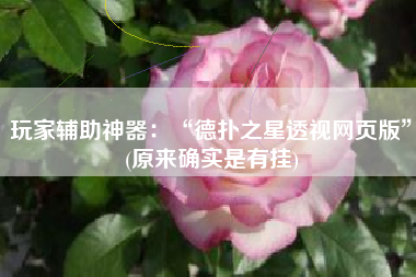 玩家辅助神器：“德扑之星透视网页版	”(原来确实是有挂)