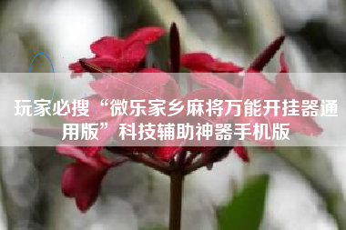 玩家必搜“微乐家乡麻将万能开挂器通用版	”科技辅助神器手机版